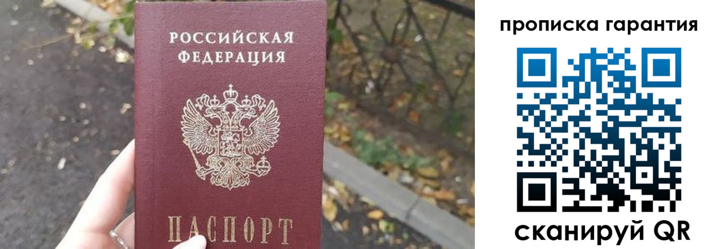 где прописаться в Тимашёвске